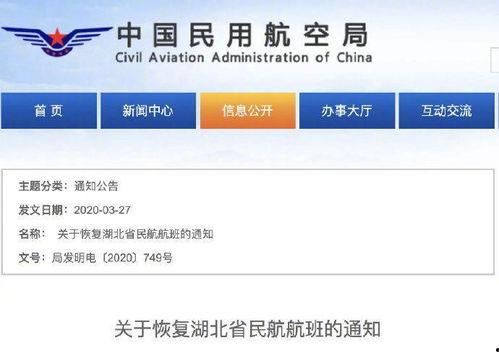 武汉热搜爆料最新消息,最新爆料揭示惊人真相!
